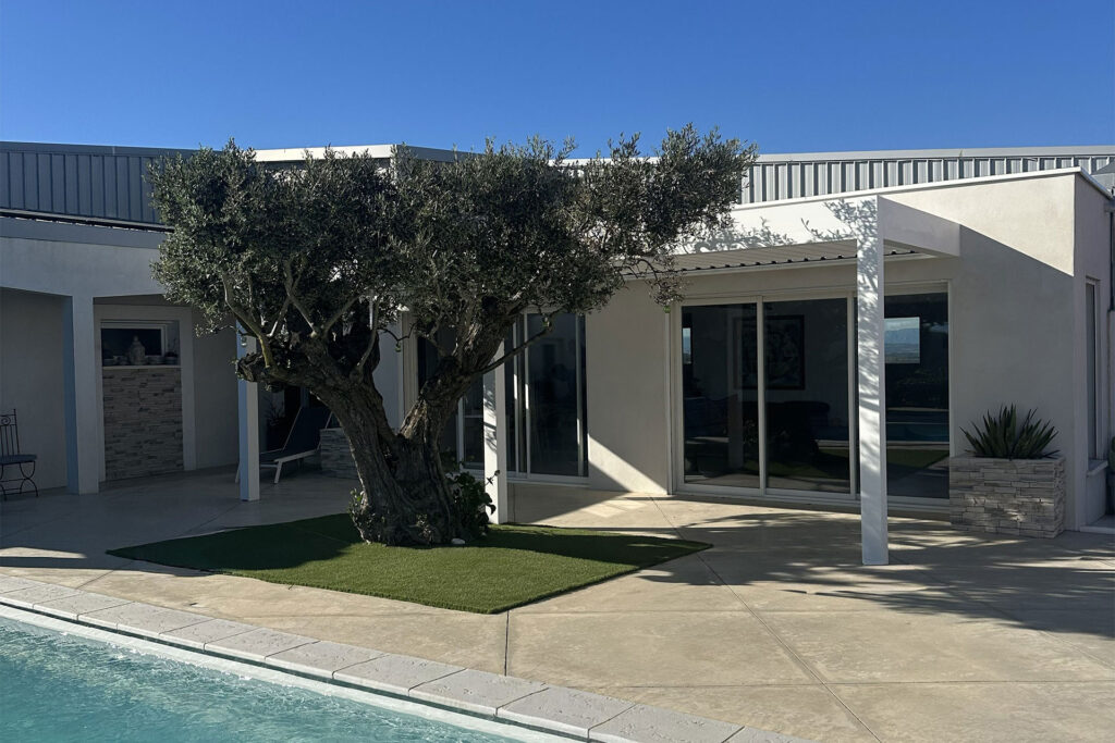 Pergola avec magnifique olivier et piscine